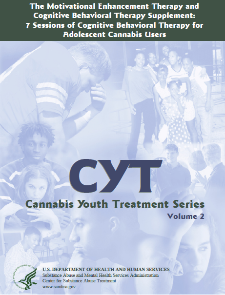 The Motivational Enhancement Therapy and Cognitive Behavioral Therapy Supplement Vol 2.